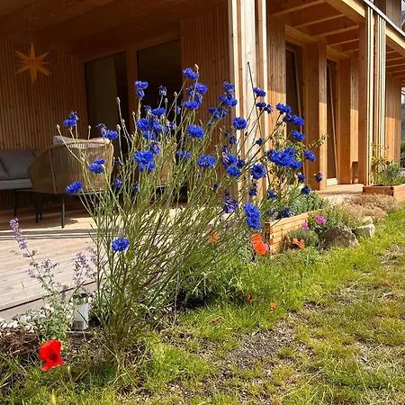 Apartment Am Stadtwald Triberg im Schwarzwald