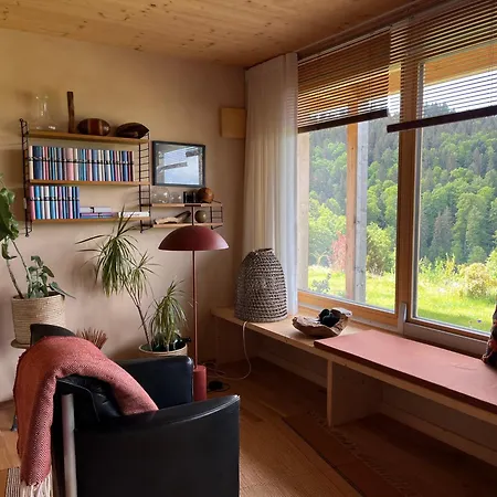 Am Stadtwald Apartment *